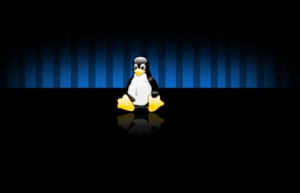 告别 Linux 系统关机难题，使用 shutdown 命令！