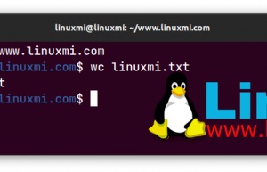 使用 Linux 命令行工具简化您的日常任务