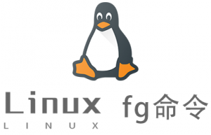 Linux常用命令—fg命令