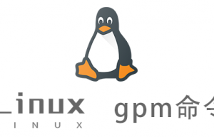 Linux常用命令—gpm命令