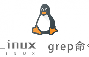 Linux常用命令—grep命令