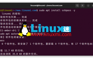 如何在 Linux 中将密码传递给 scp 命令