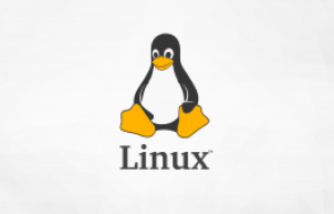 Linux系统文件加密