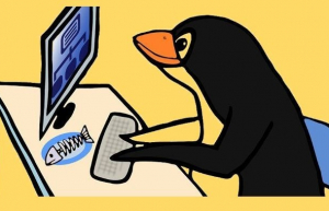 Linux学习方法