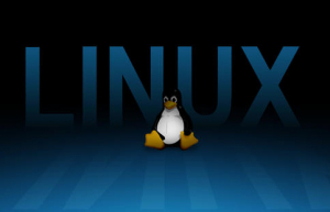 Linux更新exFAT驱动缩短删除大文件时间