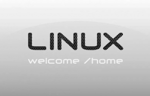 Linux系统下对目录扩容的方法介绍