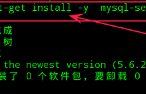 Linux系统操作mysql基本命令