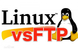 Linux系统配置FTP服务器详细步骤