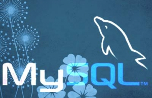 Linux系统如何查看MySQL安装目录