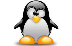 Linux下设置共享文件夹具体方法