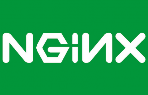 Linux系统下优化nginx具体解决方案