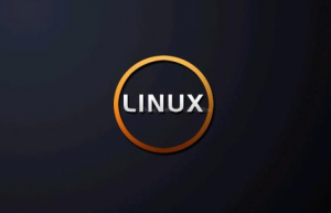 Linux系统svn常用命令大全