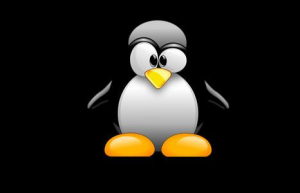 Linux系统安装WinUSB