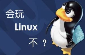 Linux系统中的网络配置文件