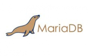 Docker创建MariaDB镜像具体方法