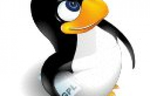 Linux如何查看可用网络接口