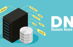 Linux配置DNS域名解析