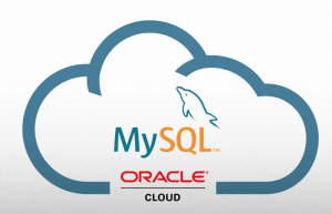 Linux下查看MySQL端口