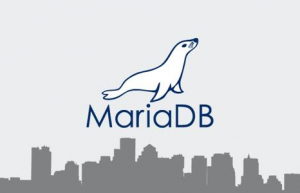Linux下离线安装MariaDB