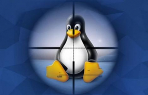 Linux下开放指定端口