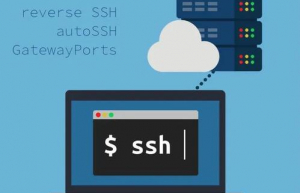 Linux安装SSH服务