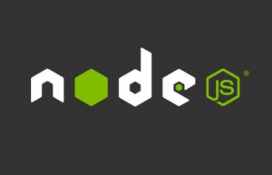 Linux升级node版本