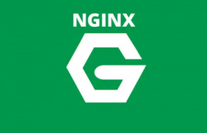 Linux查看nginx版本