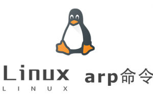 Linux常用命令—arp命令