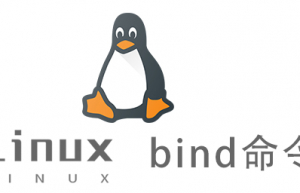 Linux常用命令—bind命令
