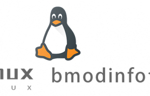 Linux常用命令—bmodinfo命令