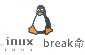 Linux常用命令—break命令