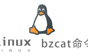 Linux常用命令—bzcat命令