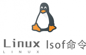 Linux常用命令—lsof命令