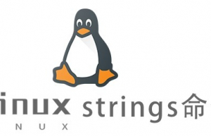 Linux常用命令—strings命令