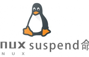 Linux常用命令—suspend命令