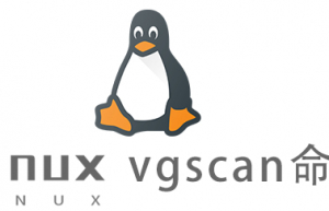Linux常用命令—vgscan命令
