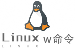 Linux常用命令—w命令