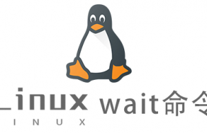 Linux常用命令—wait命令