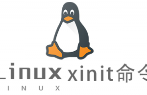 Linux常用命令—xinit命令