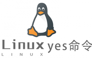 Linux常用命令—yes命令