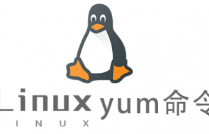 Linux常用命令—yum命令