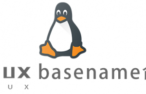 Linux常用命令basename命令具体使用方法