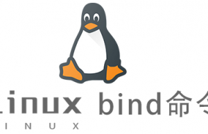Linux常用命令bind 命令具体使用方法