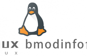 Linux常用命令bmodinfo命令具体使用方法