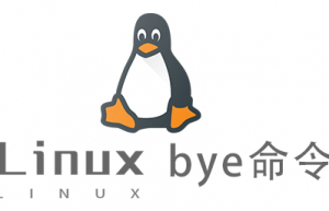 Linux常用命令bye命令具体使用方法