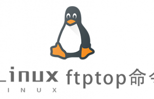 Linux常用命令ftptop命令具体使用方法