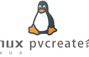 Linux常用命令pvcreate命令具体使用方法