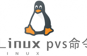 Linux常用命令pvs命令具体使用方法