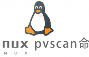 Linux常用命令pvscan命令具体使用方法