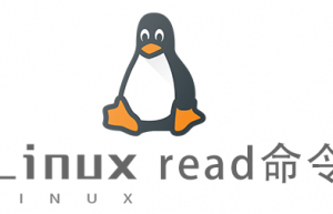 Linux常用命令read命令命令具体使用方法